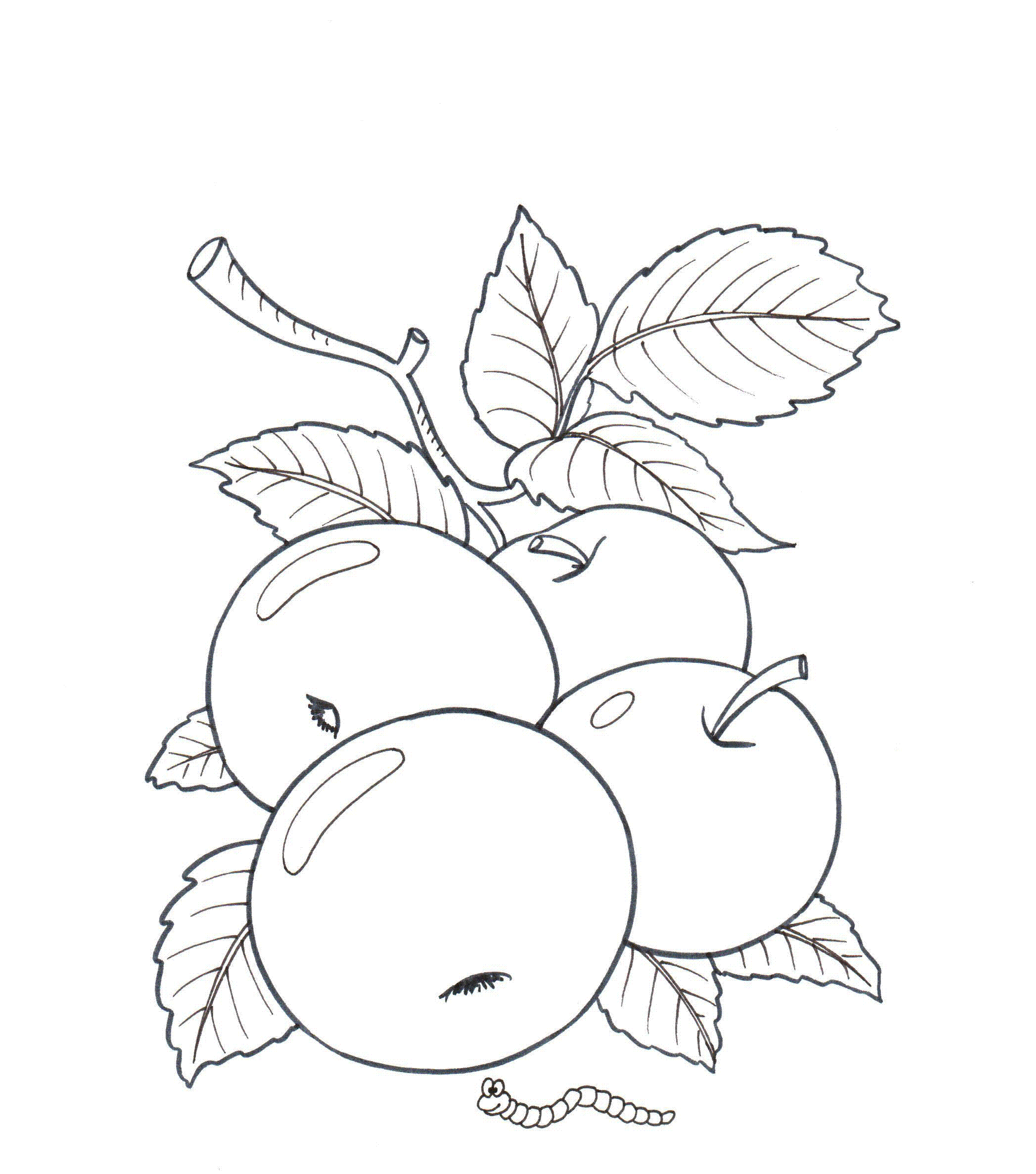 Kolorowanka online: Kolorowanka gąsienica spacerująca przy jabłkach